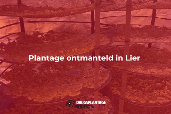 Lier - Plantage ontmanteld in Lier